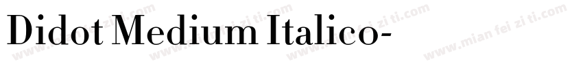 Didot Medium Italic0字体转换